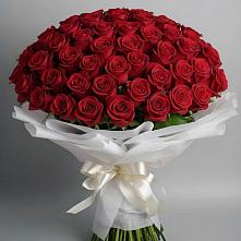 Букет 101 Красная роза Блэк Мэджик в Воскресенске