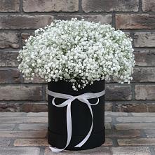 Цветочная композиция из Гипсофила в шляпной коробке в Воскресенске
