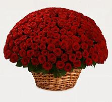 Премиум букет из: Розы в Воскресенске